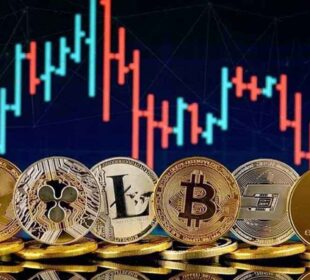 bitcoin dice